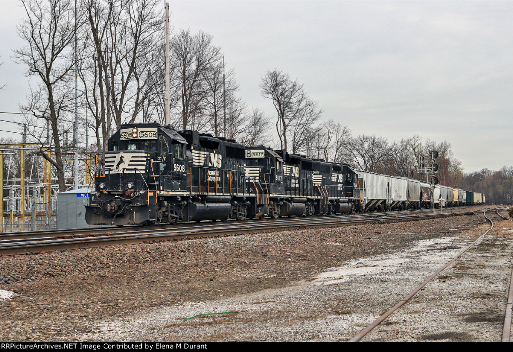 NS 5608 on H-55
